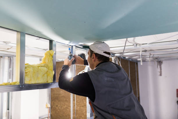 Best Geographic-Specific Insulation Services in Stonewall, MS